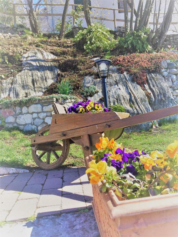Apartament La Casa Nel Bosco Malcesine Zewnętrze zdjęcie